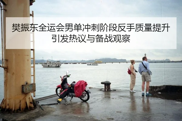 樊振东全运会男单冲刺阶段反手质量提升引发热议与备战观察